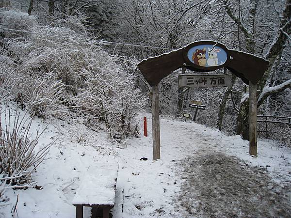 IMG_3109.jpg IMG_3109.jpg