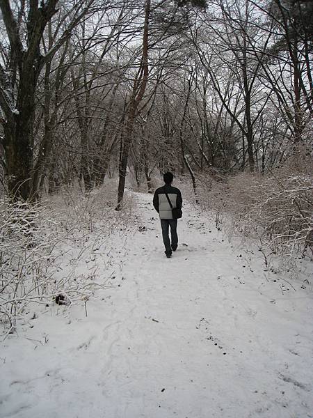 IMG_3124.jpg IMG_3124.jpg