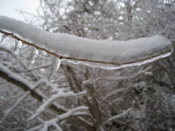 IMG_3132.jpg IMG_3132.jpg