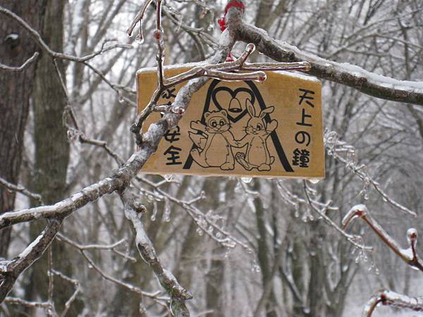 IMG_3126.jpg IMG_3126.jpg