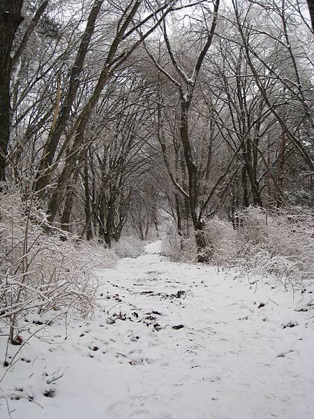 IMG_3127.jpg IMG_3127.jpg