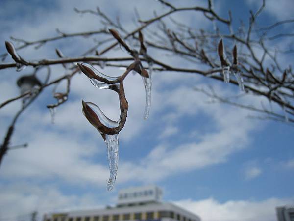 IMG_3010.jpg IMG_3010.jpg