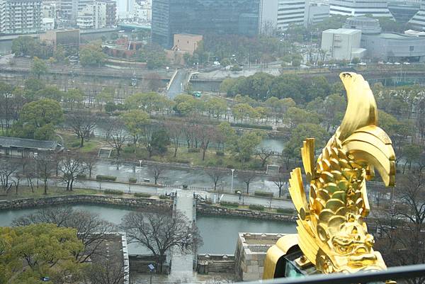 IMG_0171.JPG IMG_0171.JPG