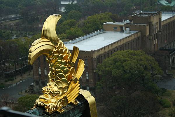 IMG_0167.JPG IMG_0167.JPG