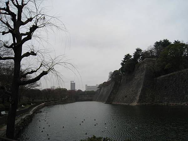 IMG_3296.jpg IMG_3296.jpg