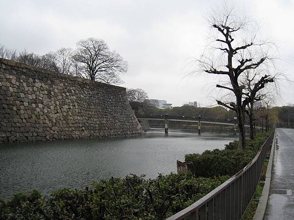 IMG_3295.jpg IMG_3295.jpg