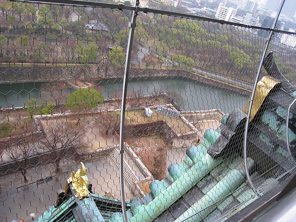 IMG_3310.jpg IMG_3310.jpg