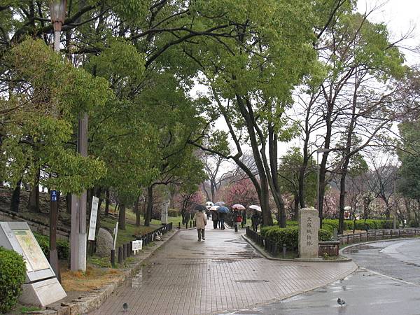 IMG_3328.jpg IMG_3328.jpg