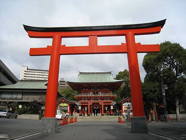 IMG_3555.jpg IMG_3555.jpg