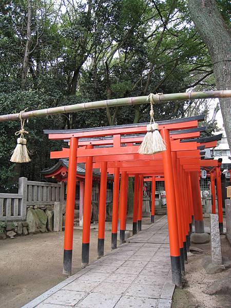 IMG_3560.jpg IMG_3560.jpg