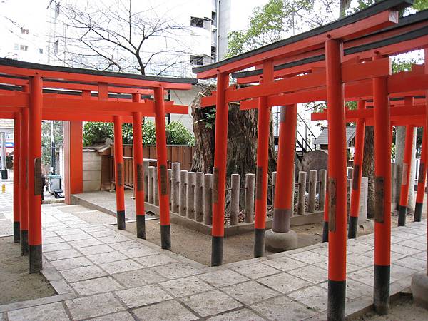 IMG_3563.jpg IMG_3563.jpg