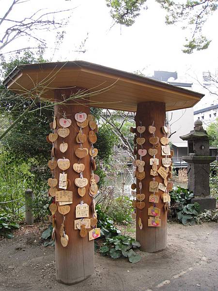 IMG_3566.jpg IMG_3566.jpg