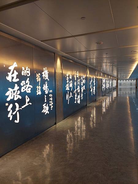 2024春 獨旅東京舞台劇行 Day1-1 搭乘虎航紅眼班機 2024春 獨旅東京舞台劇行 Day1-1 搭乘虎航紅眼班機