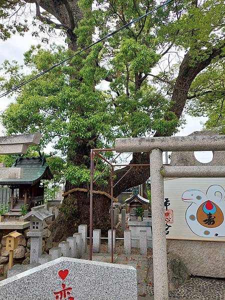 2025春 獨旅大阪舞台劇行 Day4-2 布忍神社~淺顯易 2025春 獨旅大阪舞台劇行 Day4-2 布忍神社~淺顯易