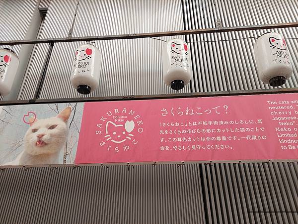 2025春 獨旅大阪舞台劇行 Day6-3 露天神社想不到 2025春 獨旅大阪舞台劇行 Day6-3 露天神社想不到