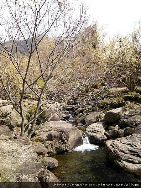求禮山茱萸村02.JPG 求禮山茱萸村02.JPG