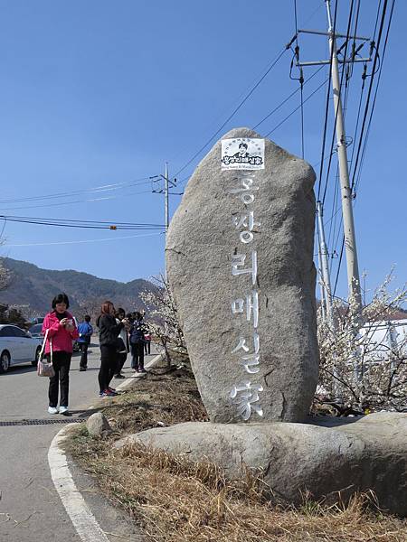 梅花村