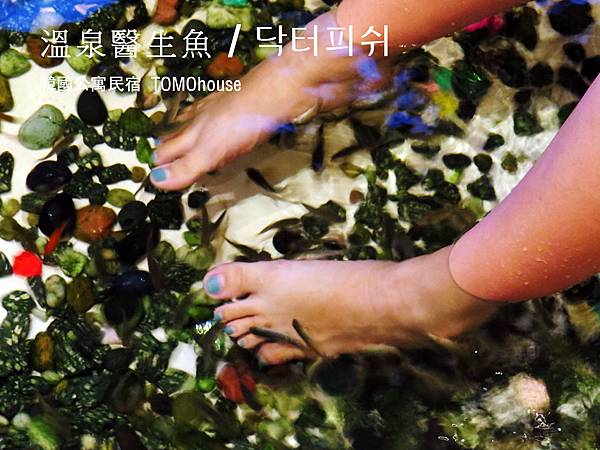 Dr.Fish(醫生魚) Dr.Fish(醫生魚)