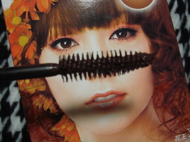 Fiberwig  刷頭