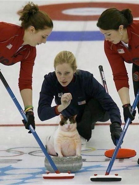 funny_picdump_638_640_38.jpg