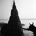 《4-29.瓦拉納西Varanasi-恆河Ganga  River-29》59630003-2.jpg