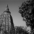 《7-3.普提迦耶Bodhgaya-摩訶菩提寺Mahabodhi Temple-3，佛陀悟道之地》59670027-2.jpg