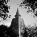 《7-5.普提迦耶Bodhgaya-摩訶菩提寺Mahabodhi Temple-5，佛陀悟道之地》59670035-2.jpg