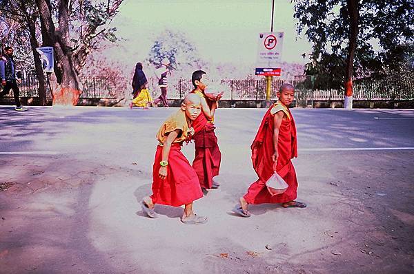 《7-1.普提迦耶Bodhgaya-1》60320004-2.jpg