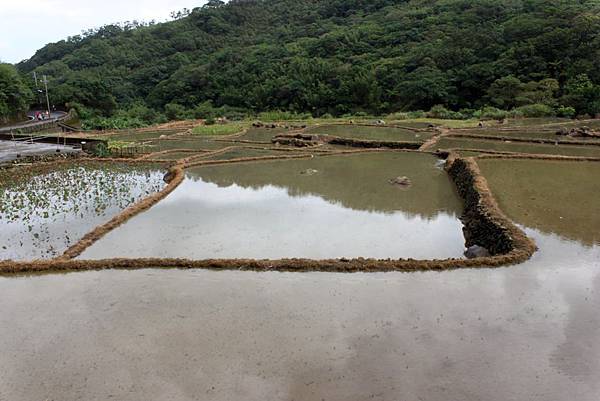 草嶺古道.JPG