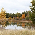 Tawas Point State Park2.JPG