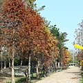 田尾公路花園10.JPG