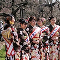 偕樂園梅花祭1.JPG