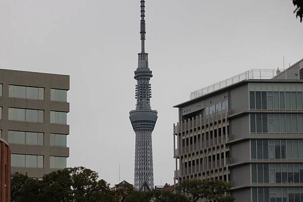 安田庭園14.JPG