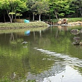 小石川後樂園22.JPG