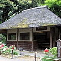 小石川後樂園30.JPG