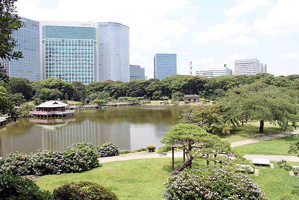 濱離宮恩賜庭園5.JPG