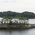 松島7.JPG