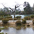 兼六園8.JPG