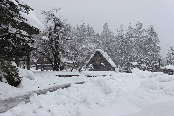 北陸雪景1.JPG