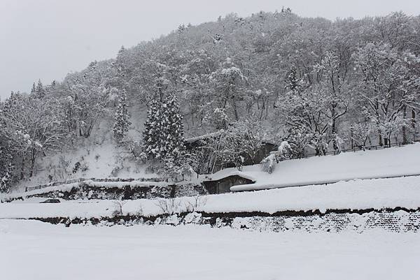 北陸雪景6.JPG