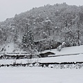 北陸雪景6.JPG