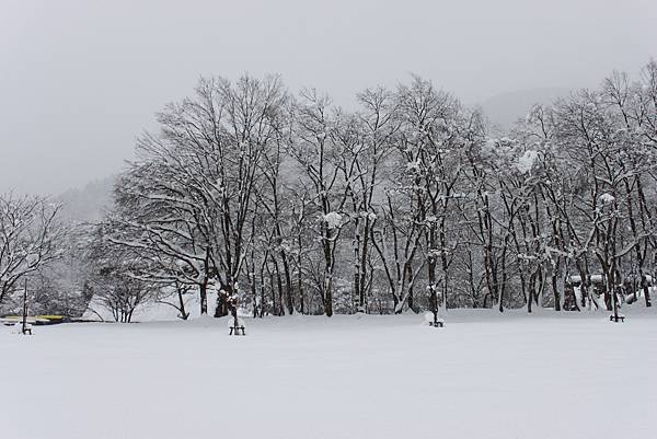 北陸雪景8.JPG