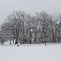 北陸雪景8.JPG