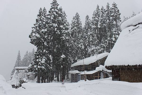 北陸雪景14.JPG