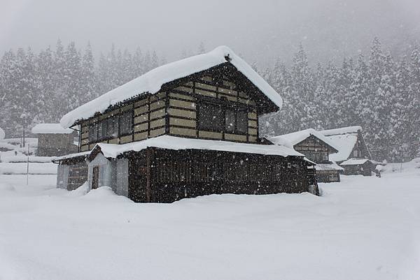 北陸雪景16.JPG