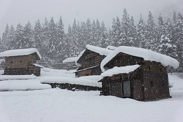 北陸雪景17.JPG