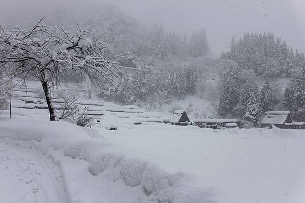 北陸雪景20.JPG