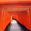 伏見稻荷神社18.JPG