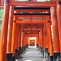 伏見稻荷神社24.JPG