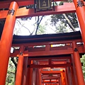 伏見稻荷神社26.JPG